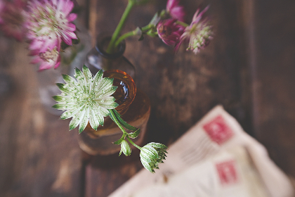 ABC在线直播平台:开启全新互动学习体验