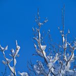 立博平台app全方位功能评测与安全性能解析 224shuydy1