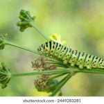 立博台湾的市场趋势与未来发展前景分析 7b4qvrg1