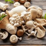 立搏娱乐的安全性与用户体验,值得信赖的选择 7wpx5uj0q