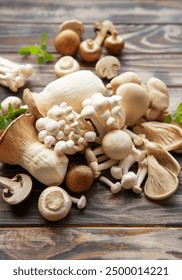 立搏娱乐的安全性与用户体验,值得信赖的选择