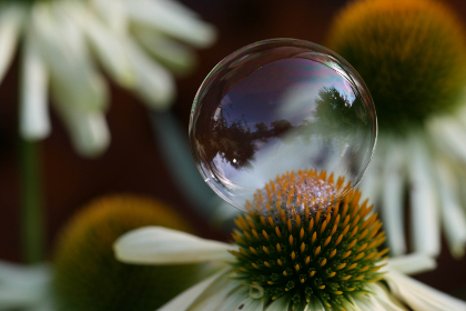 移动端真人赌钱应用的玩法解析与风险提示全解