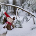 AI彩历史开奖数据全解析 gc6rz64j