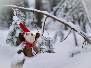 AI彩历史开奖数据全解析