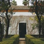 红宝石hbs最新网站的全面评测与导航指南 ylyu81ofv