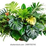 “选10开奖”最新结果揭晓,幸运号码花落谁家? 55j3vd60