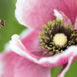 《NBA2K18》精彩赛事全程直播火热开启 d21wd4fib