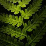 《一站到底》全程高能直播在线观看入口 g1j74p5cf