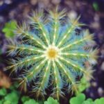 NBA高清绿色无插件在线直播,流畅观看精彩赛事 v3y23